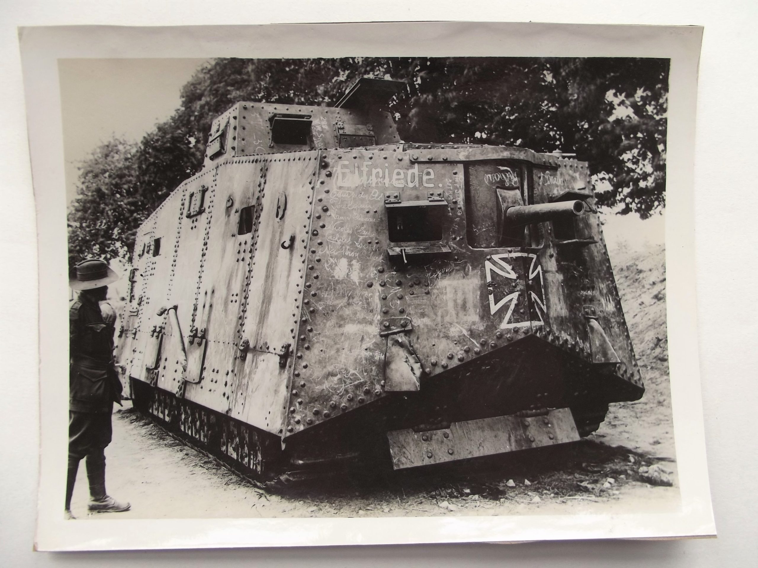 WW1 AUSTRALIAN PRESS PHOTO CAPTURED GERMAN TANK  ELFRIEDE